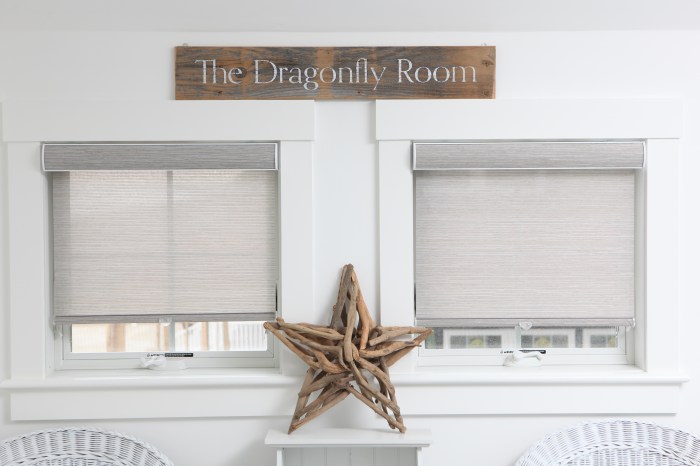 dragonflyroom alices house