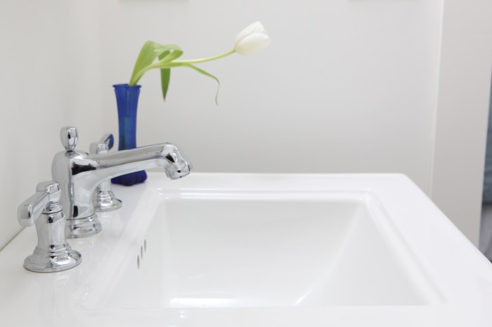 lillypad rm aliceshouse.jpg